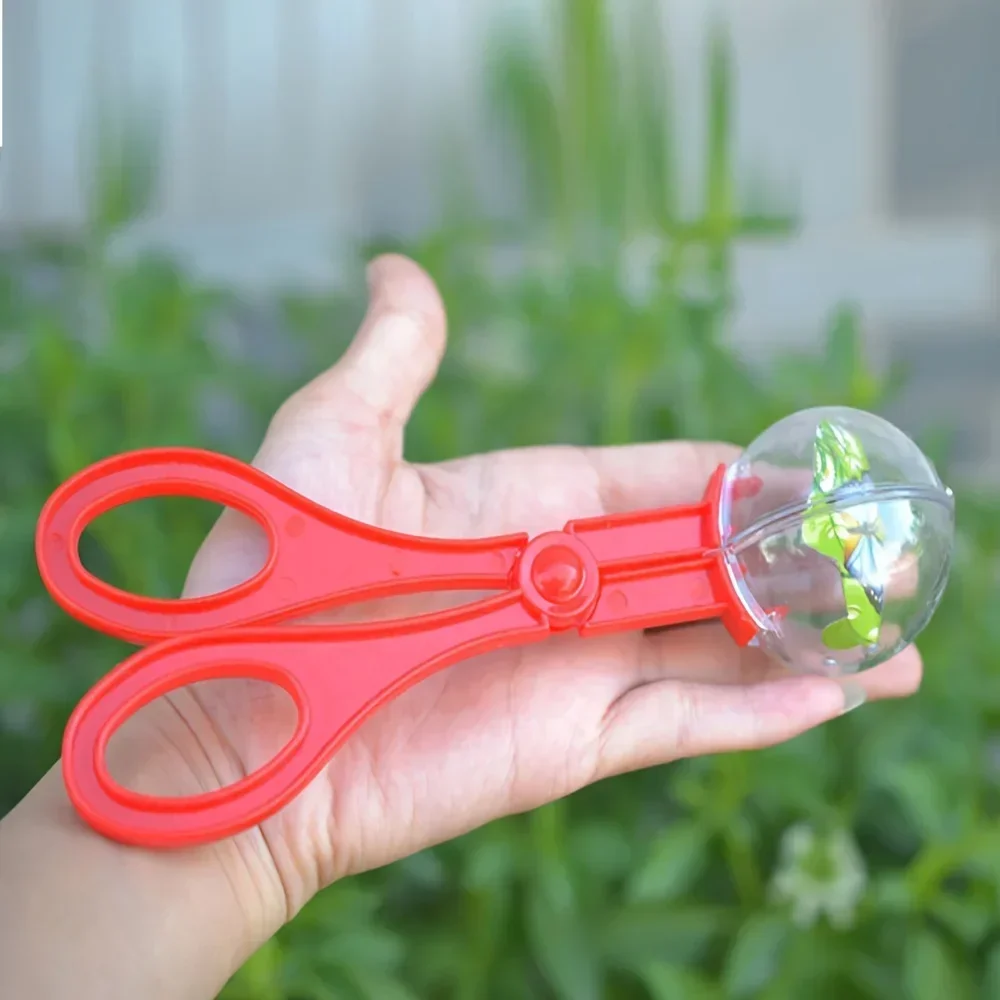 Kleurrijke grote kralen insect - Outdoor Adventure Toys For Kids recensie en prijs